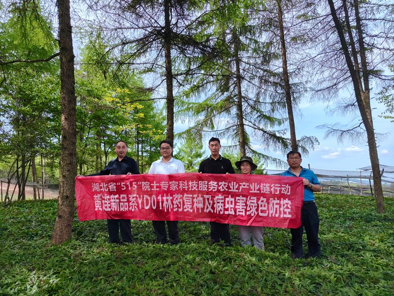80e9790422417318d0a89db84c4ed4e_副本.jpg