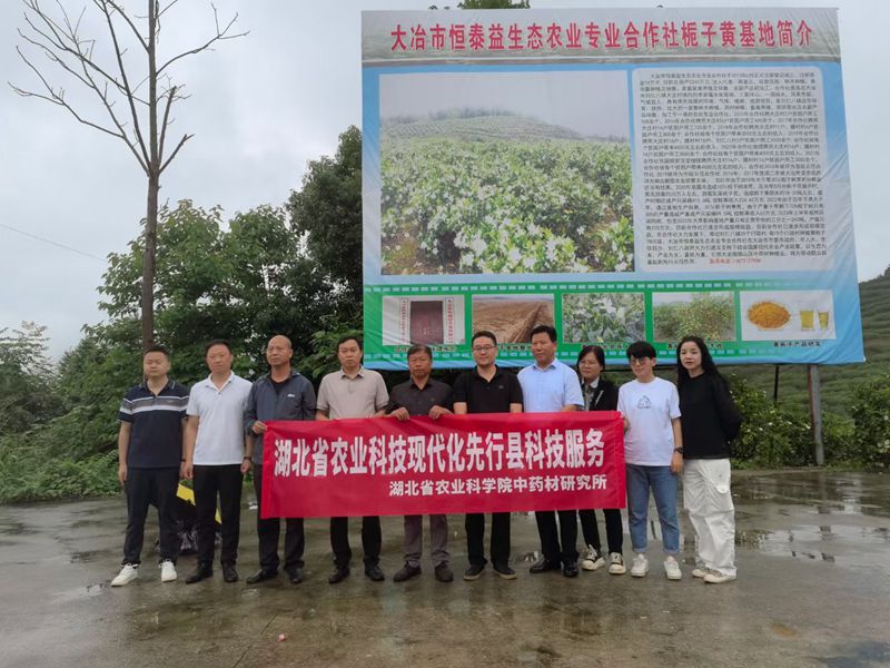 300553f9e53e8ff763d89d75d2ae082_副本.jpg