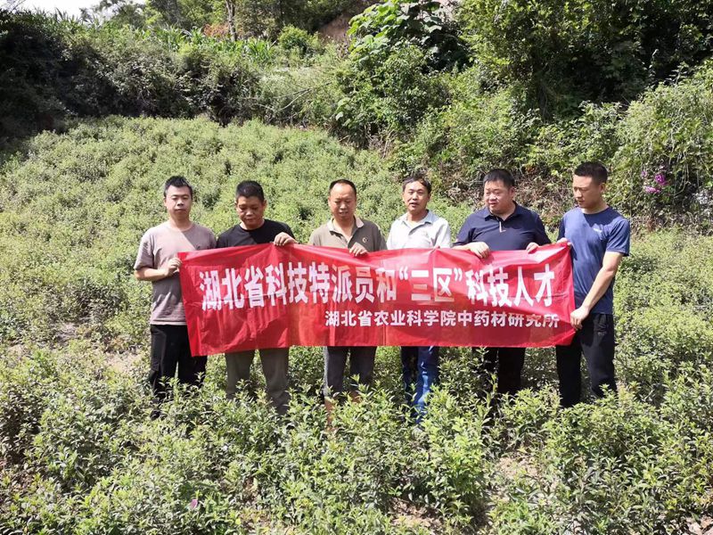 c47d9b3d1902bc47e5832a8bc5b5c4d_副本.jpg