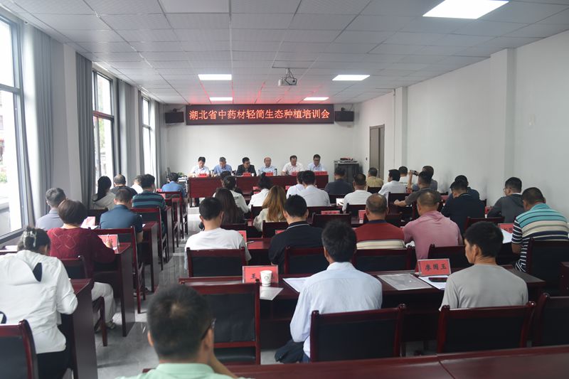 d5e19e6f50a00c7730bdfc1b5bc0eaa_副本.jpg