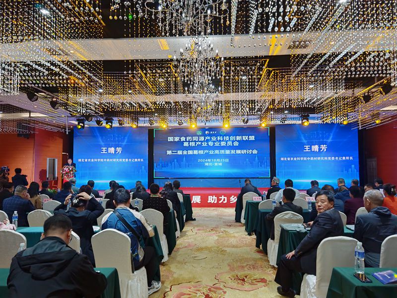 e202bdf1562f69de9f18ff3c7611cca_副本.jpg