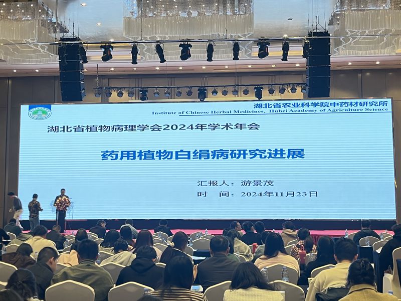2ad605f0e2de48e59d6103355cb0374_副本.jpg