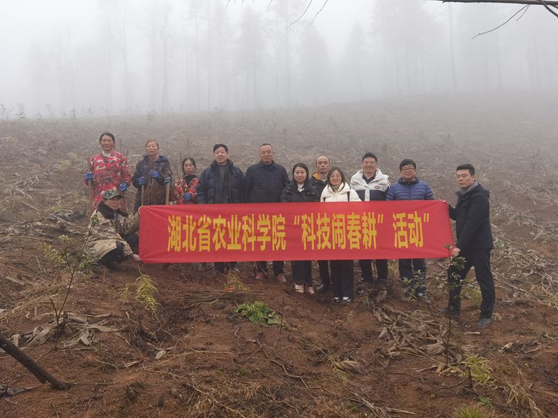 9781b6bc72f9d854de10b84da1981cb_副本.jpg